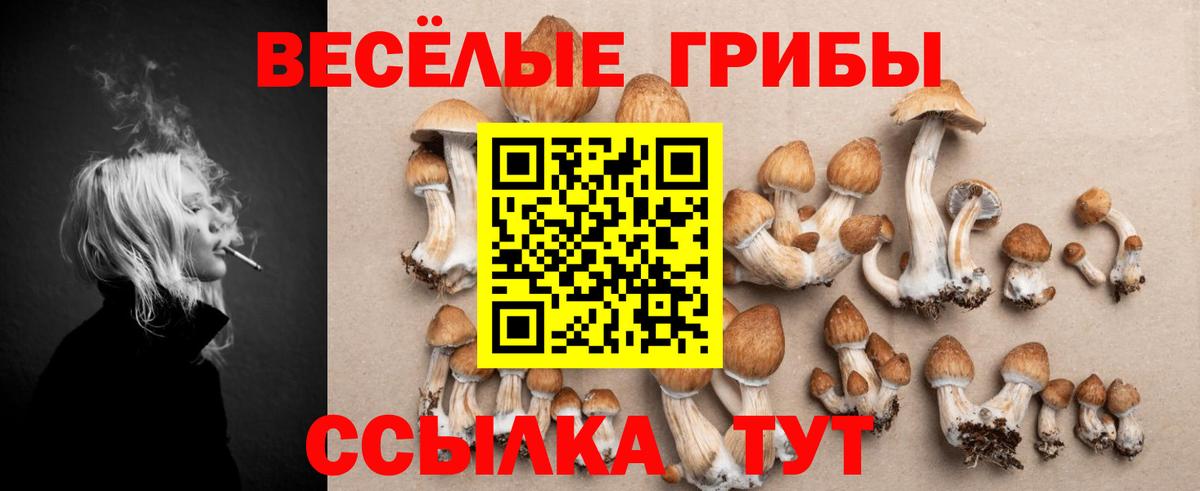Галлюциногенные грибы Psilocybine cubensis Валуйки