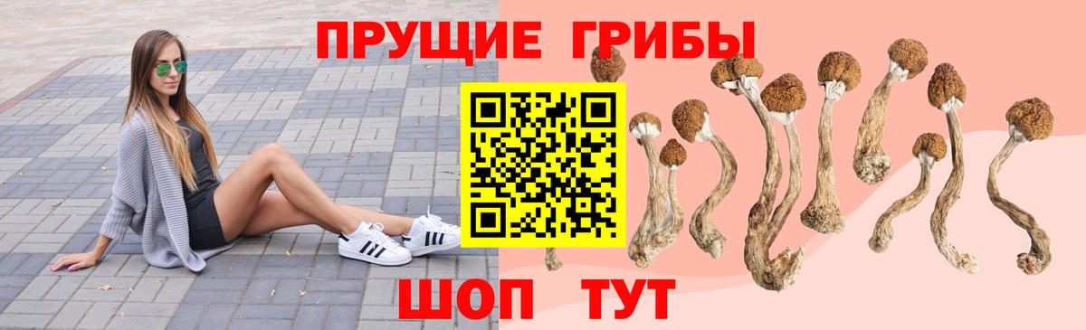 купить наркотик  Псилоцибиновые грибы Psilocybine cubensis  Вход с VPN  Валуйки 